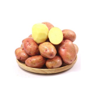云南高原红皮土豆5斤 ，软糯香甜 果肉细腻