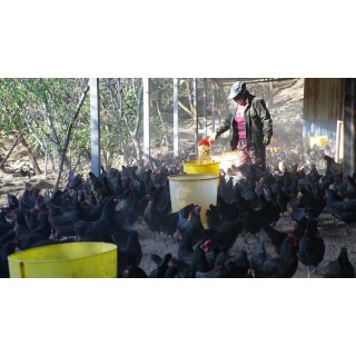 【周三闪购】🔥【唐寐家纺福利四件套】60支新疆长绒棉磨毛面料！清仓5000多套❗️❗️❗️工厂给福利，絮语磨毛四件套