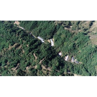 铂鼎鼎有机富硒OMEGA-3宝宝蛋20枚礼盒装。净重800g，还原记蛋本身味道，追溯儿时健康记忆。