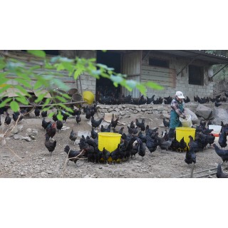 【周三闪购】🔥【唐寐家纺福利四件套】60支新疆长绒棉磨毛面料！清仓5000多套❗️❗️❗️工厂给福利，絮语磨毛四件套