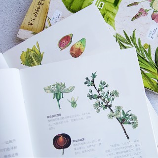《写给孩子的自然启蒙课》三册 上百余种花草果蔬一座精彩缤纷的自然博物馆