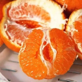 春见耙耙柑5斤 果肉橙色，肉质脆嫩、多汁、囊壁薄、极化渣，糖度高，酸甜适口