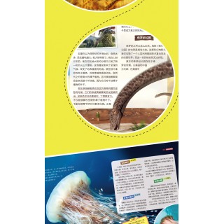 【南腔北调】2025年期刊《探索与发现》+《自然密码》2025年1-12月（24期/20册）适合7-15岁赠：心有灵犀，你比我