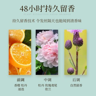 菲小主 经典清盈洗发水500mI【控油蓬松】
