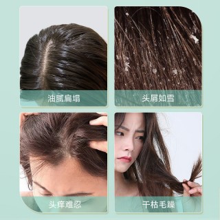 菲小主 经典清盈洗发水500mI【控油蓬松】