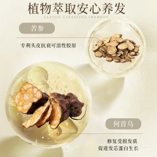 菲小主 经典\