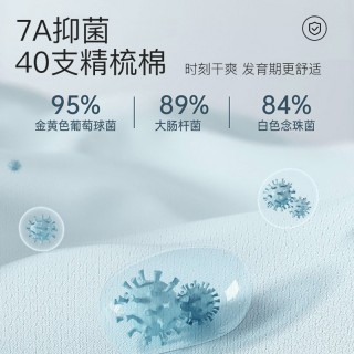 猫人男童纯棉内裤