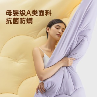 绘睡澳洲进口美利奴羊毛被四季被保暖被芯加厚冬被