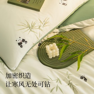 绘睡60支全面暖绒件套纯棉磨毛床单被套秋冬四件套