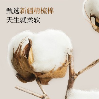 绘睡60支全面暖绒件套纯棉磨毛床单被套秋冬四件套