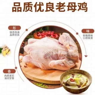 福利破价❗️2只装！散养老母鸡！入秋滋补买一送一❗️原价99.9💰秒杀❗️山东蒙沂山正宗生态散养散养老母鸡❗️  【临沂散养老母鸡】  🔺入秋第一碗鸡汤 ，肉质很嫩，一点也不柴  ✅无农残，无抗，无ji素  ✅食五谷杂粮，肉质鲜美