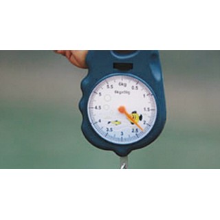 十万个为什么-物理（视频版） 发现万物运转的终极法则