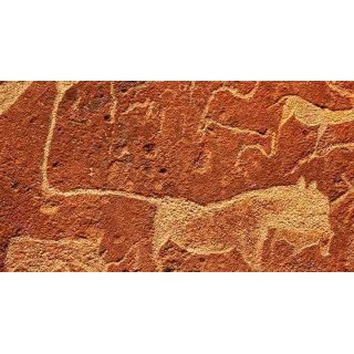 十万个为什么-艺术（视频版） 品味80个穿越时空的唯美瞬间