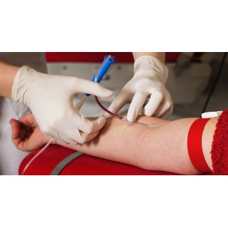 十万个为什么-生活（视频版） 解答80个你天天遇到却说不出的为什么