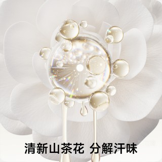 【😎草本初色 10A抗菌防臭女袜 DB201女袜一盒装（7双）】
✅10A级抗菌不臭脚的纯棉袜
✅汗脚夏天也能尽情脱鞋
✅300次水洗后依旧有效抗菌
✅专业认证，母婴级A类标准，上脚更安心
无骨缝合的袜头，既不顶脚也不硌脚
