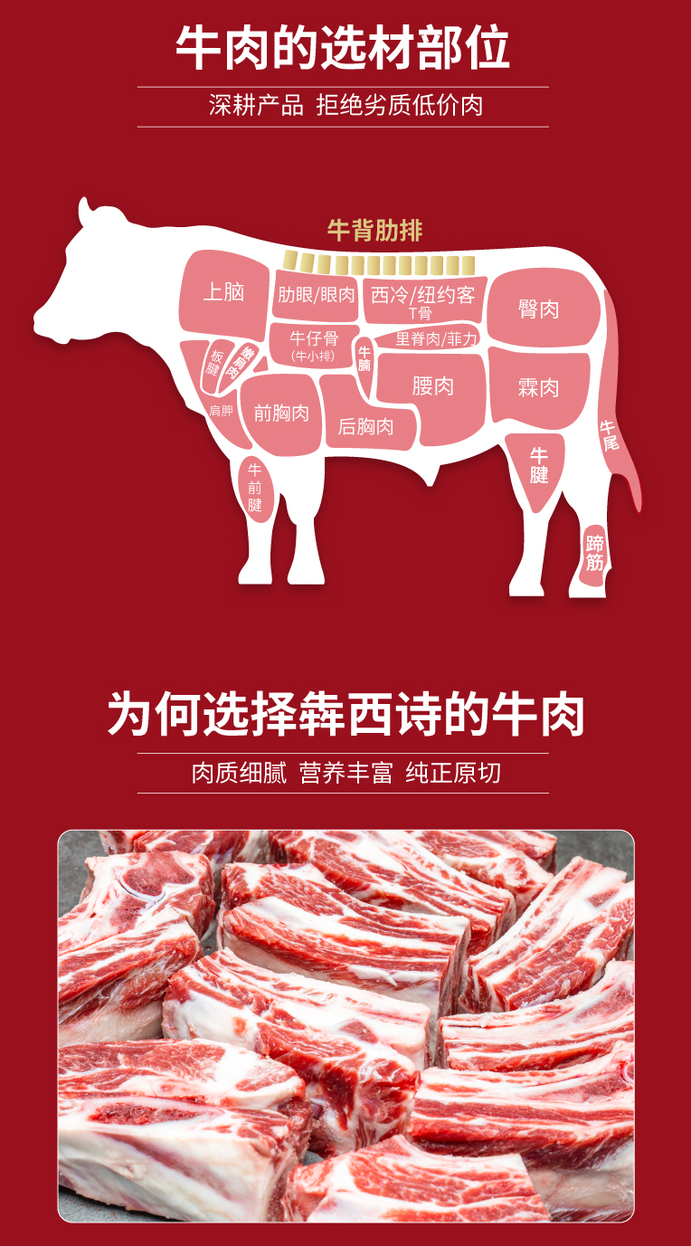 牛肉类-牛腩-脖骨-肋排_05.jpg