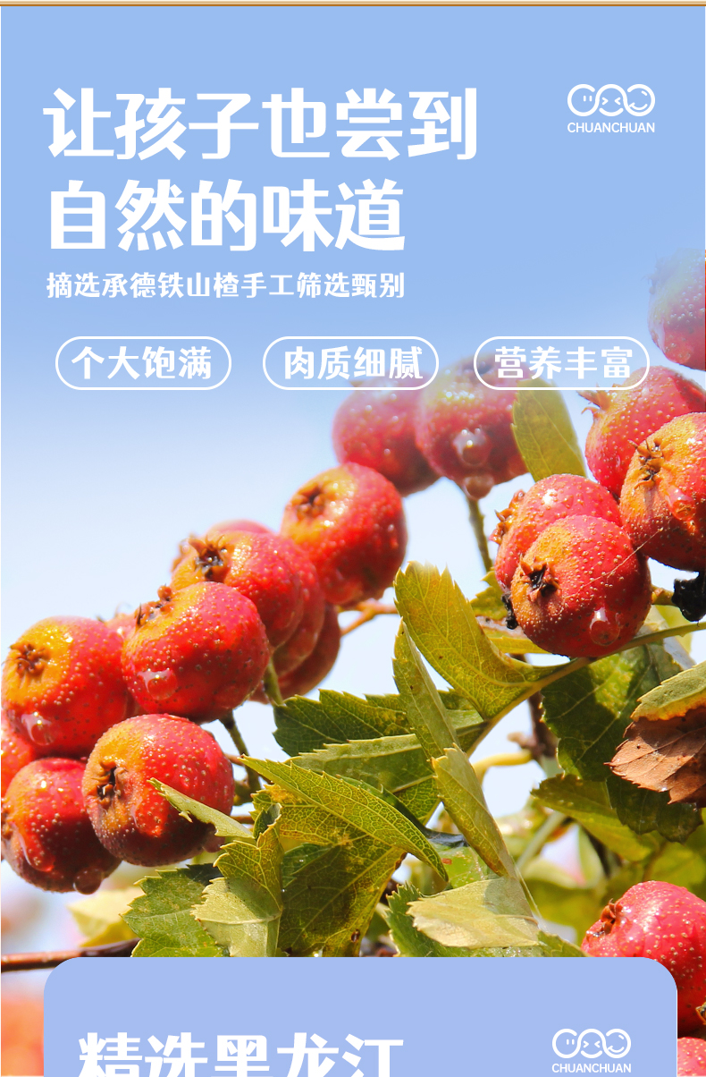 山楂串串蓝莓_04.jpg