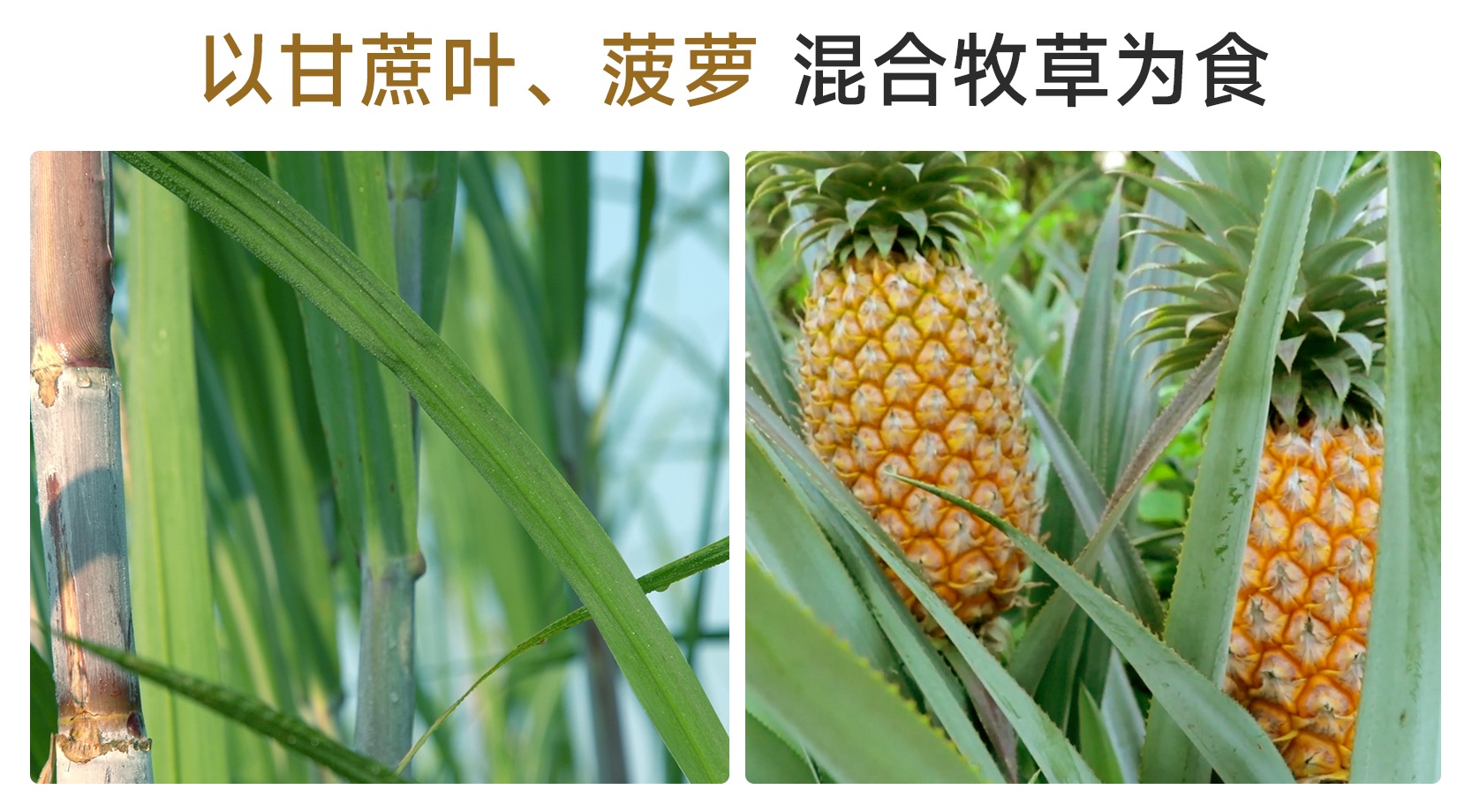 d50197e2af85ecfa955ccbb1a6a69010.jpg