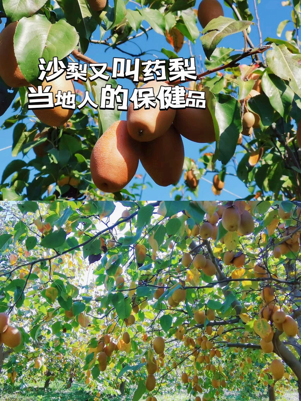 微信图片_20241227180653.jpg