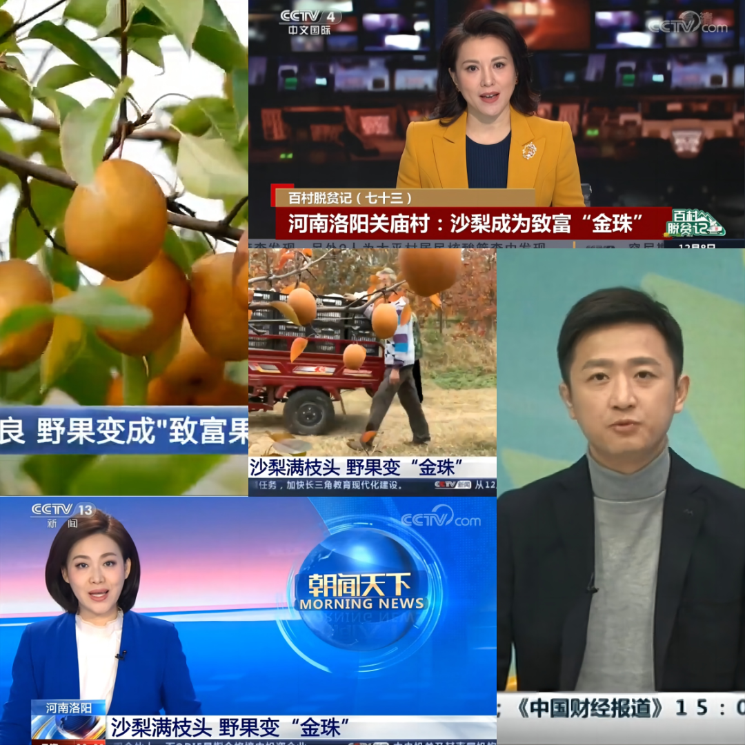 微信图片_20241227180638.png
