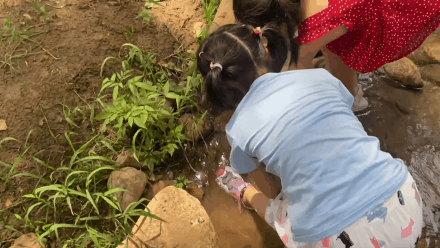 微信图片_20250224120521.gif