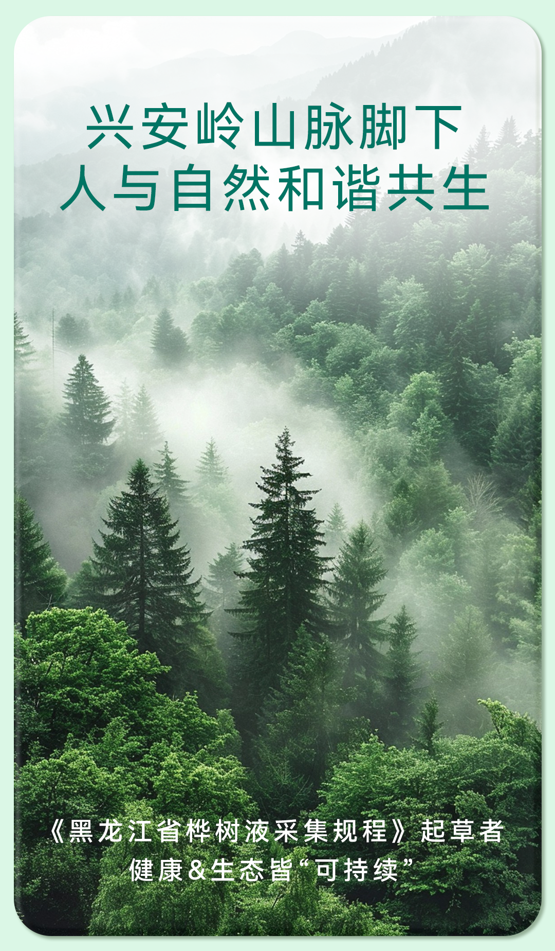 详情页（白金）_07.png
