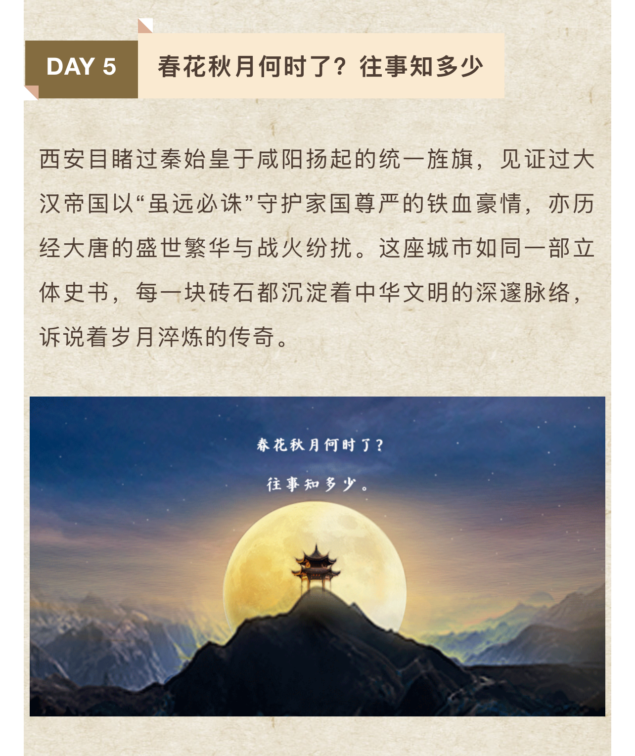 微28.jpg