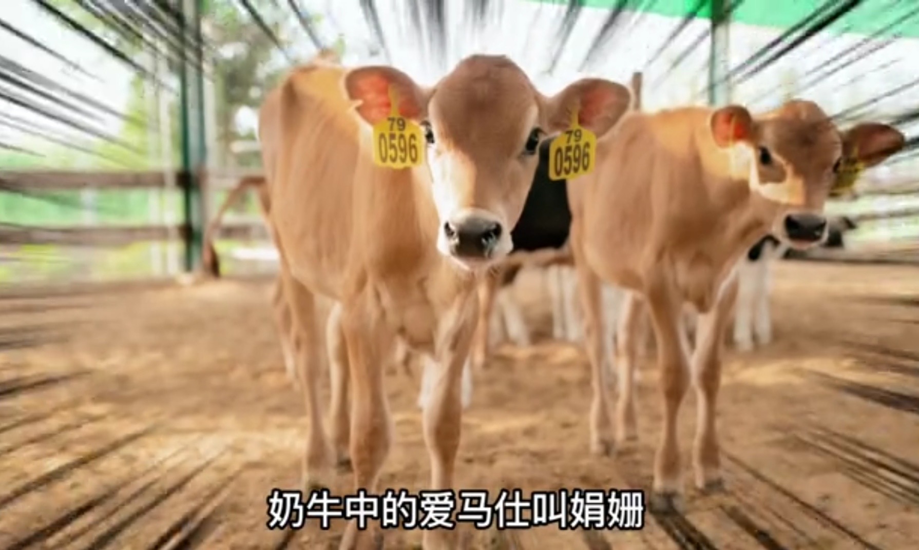 /uploads/image/2025/07/01/ecb2f30c896f7f647c0d3a4acd7503d7.jpg 微信图片_20250701160409.jpg