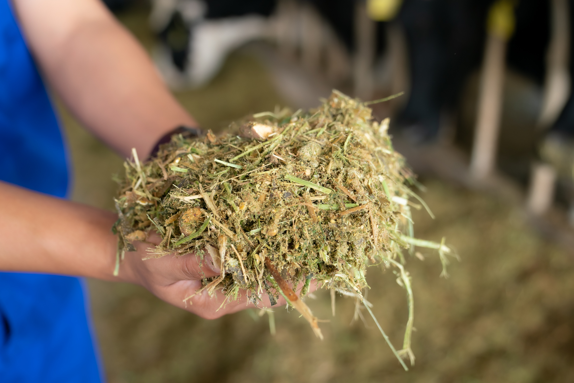 /uploads/image/2025/07/01/2095cd5ebf2f0053b73d016a85c4a0d4.jpg 微信图片_20250701160424.jpg