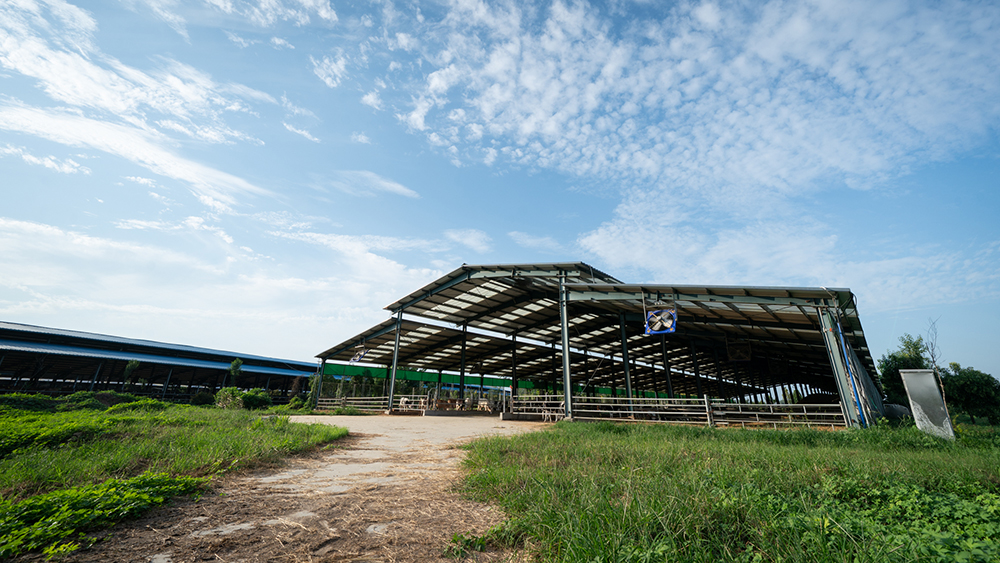 /uploads/image/2025/07/01/d6b99e4b33385fb2c76695a13f526384.jpg 微信图片_20250701160415.jpg