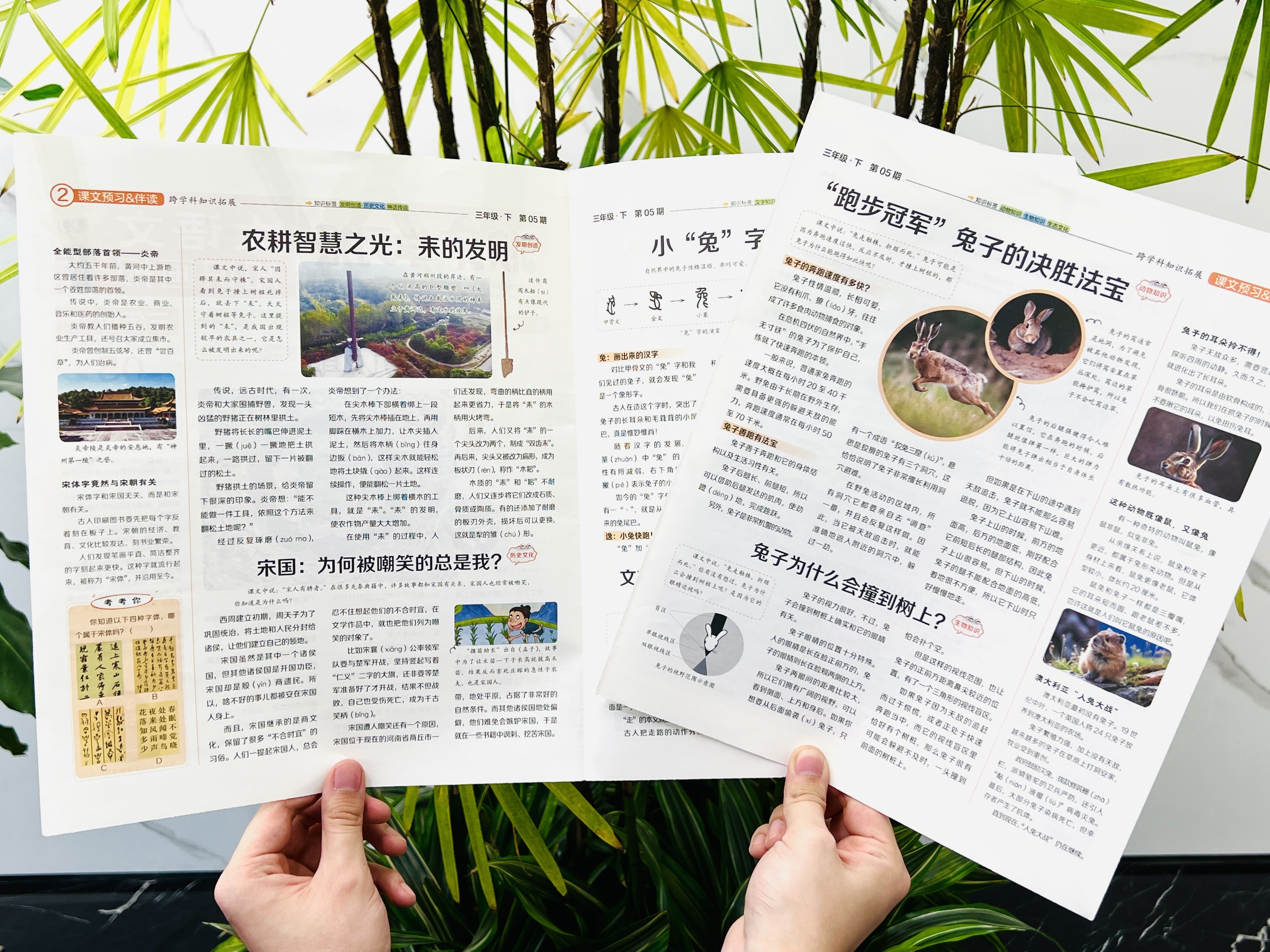微信图片_20250709134717.jpg