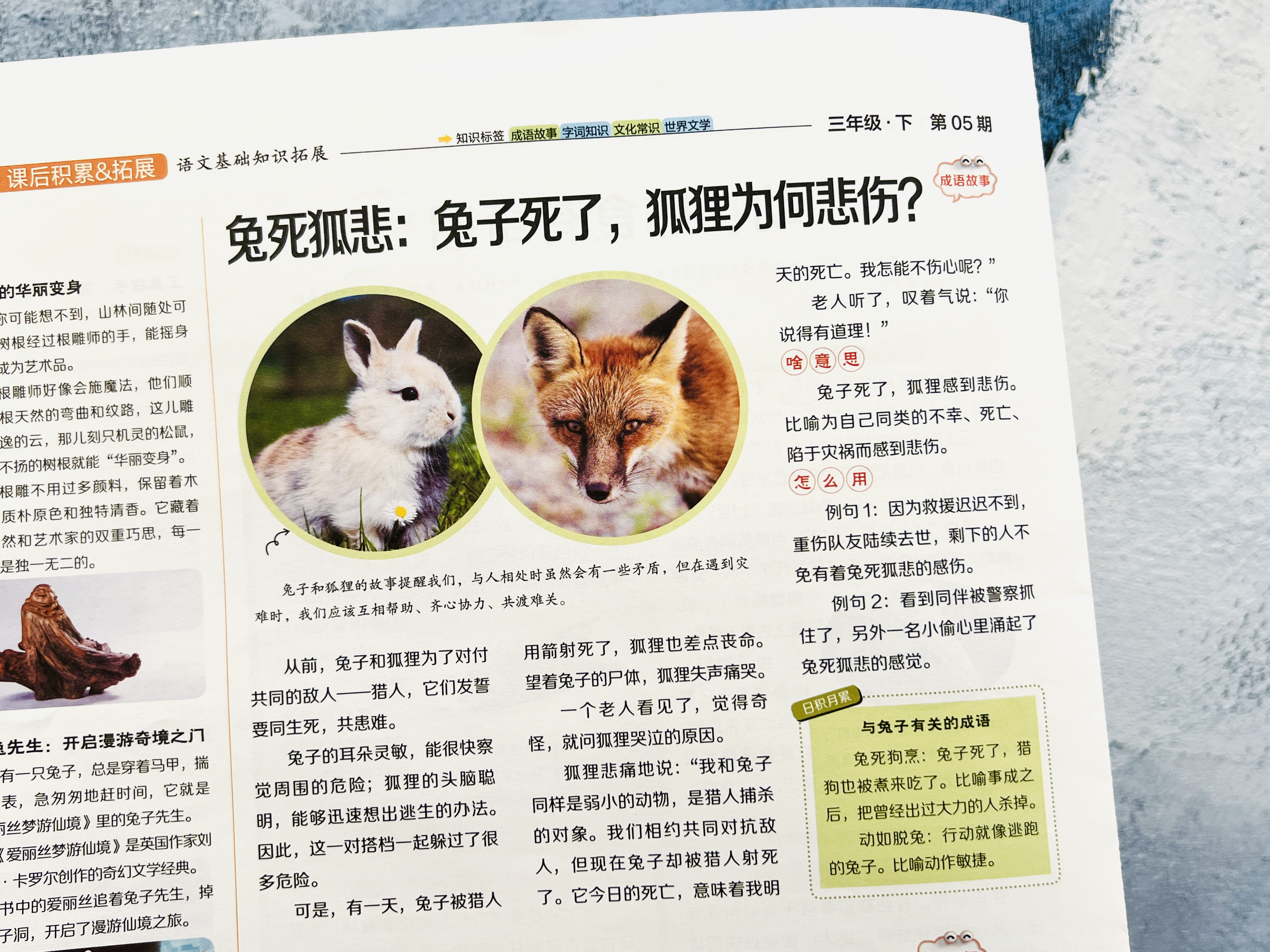 微信图片_20250709134823.jpg