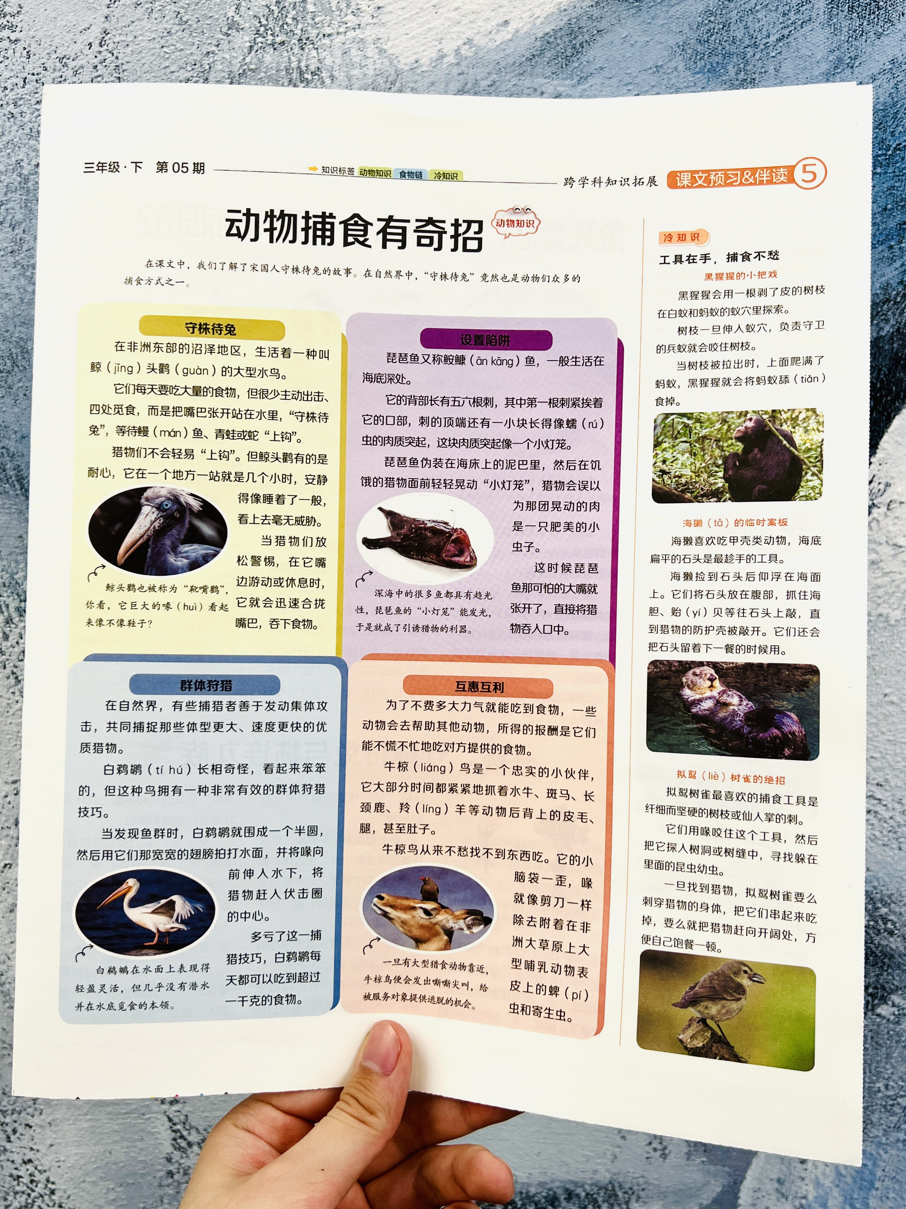 微信图片_20250709134817.jpg