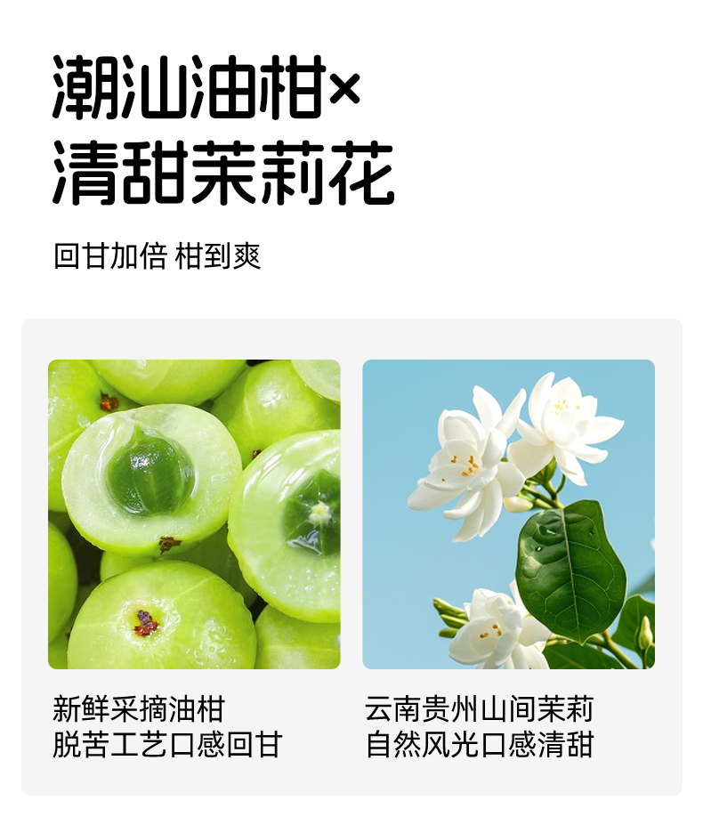 1(5)_10.jpg