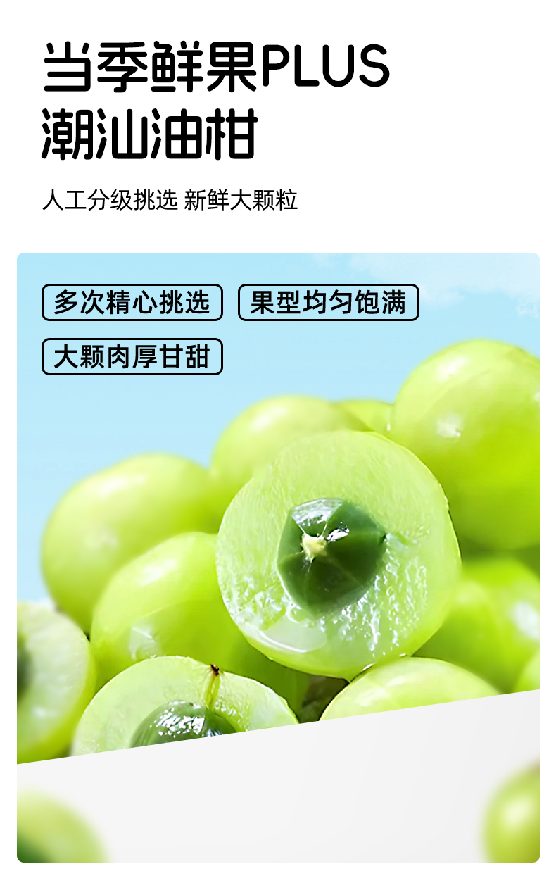 1(5)_09.jpg