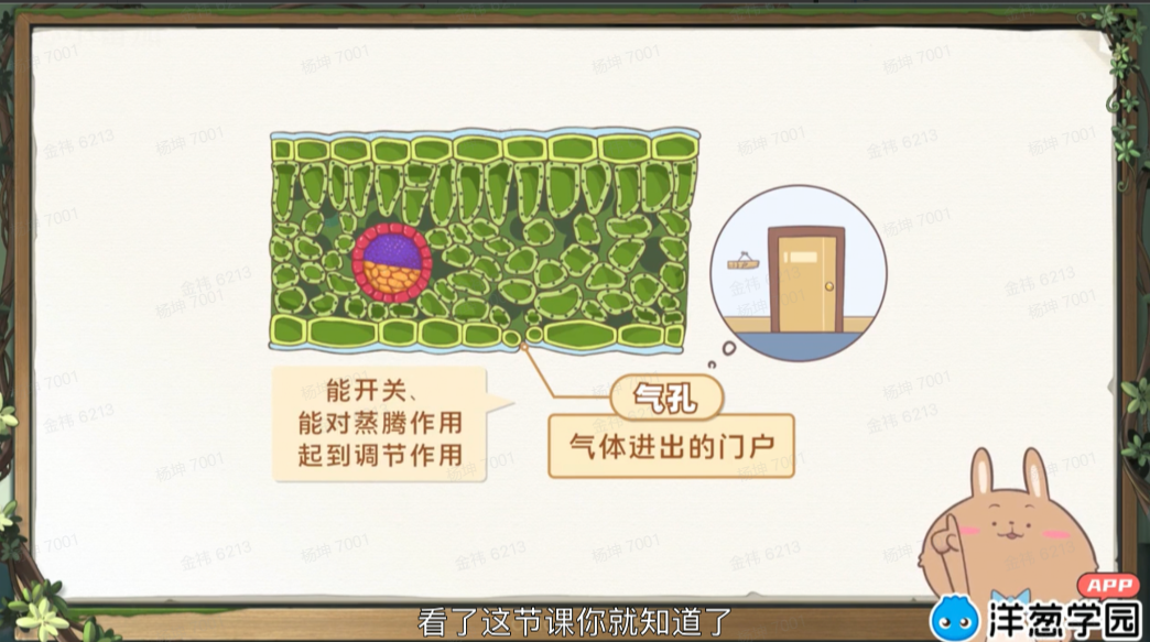 微信图片_20250821155414.png