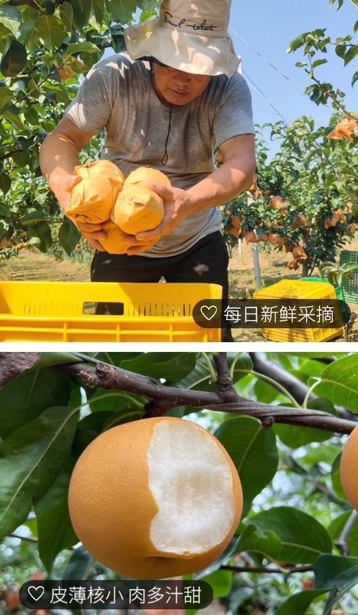 微信图片_20250911164610.jpg