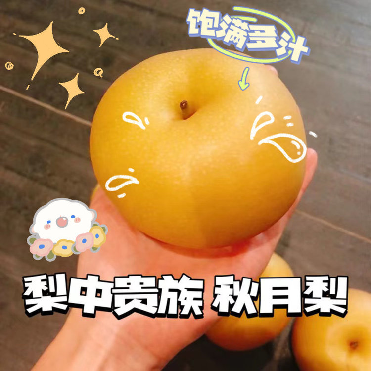 微信图片_20250911164630.jpg