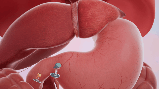 /uploads/image/2025/11/04/9b7ca6ceb9a6f46a1879f90e3ae4d445.jpg 26.jpg