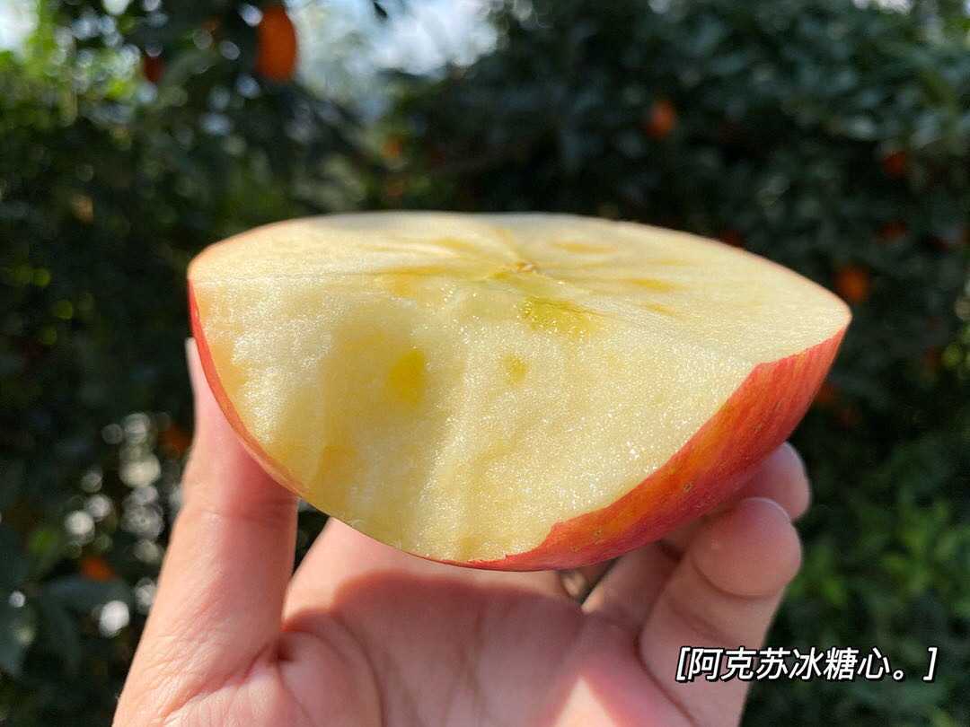 /uploads/image/2025/11/18/0249c47185fa0900ff4ff835894d1241.jpg 7.jpg