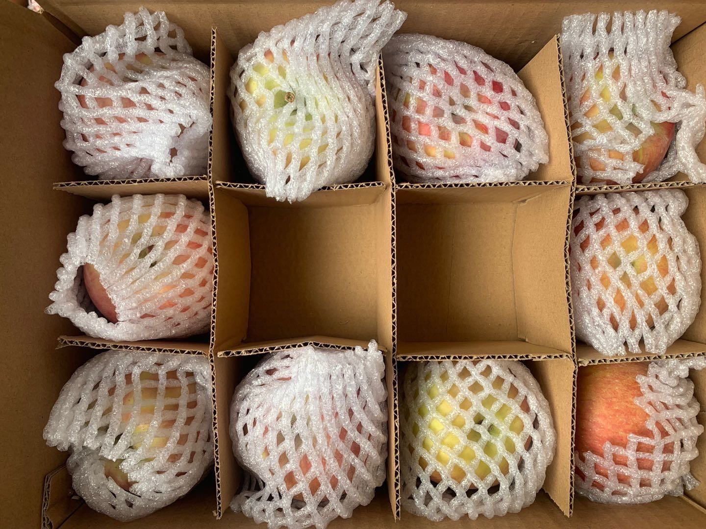 /uploads/image/2025/11/18/281fb936a0e8ffe600db1d7a316943f0.jpg 微信图片_20251118181834.jpg