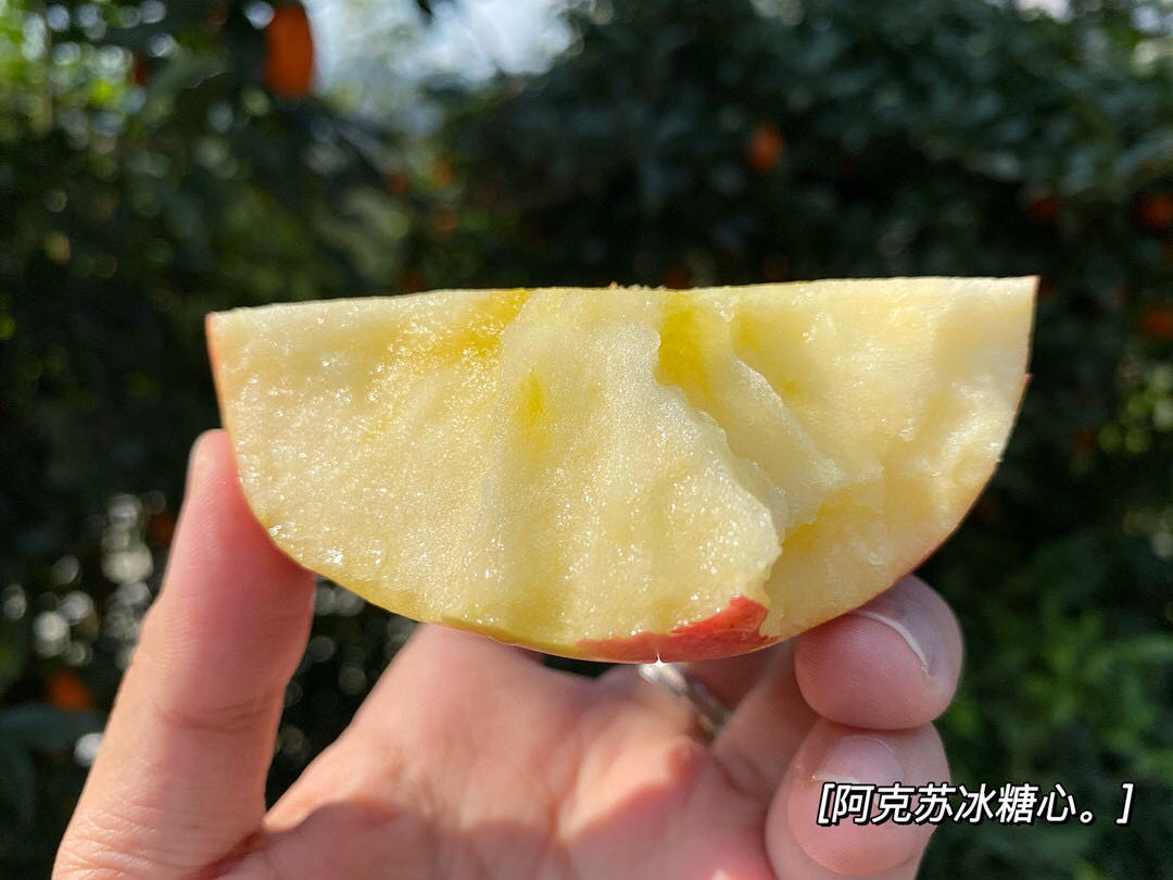 /uploads/image/2025/11/18/96812e4f0f174102408cefc983e78690.jpg 8.jpg