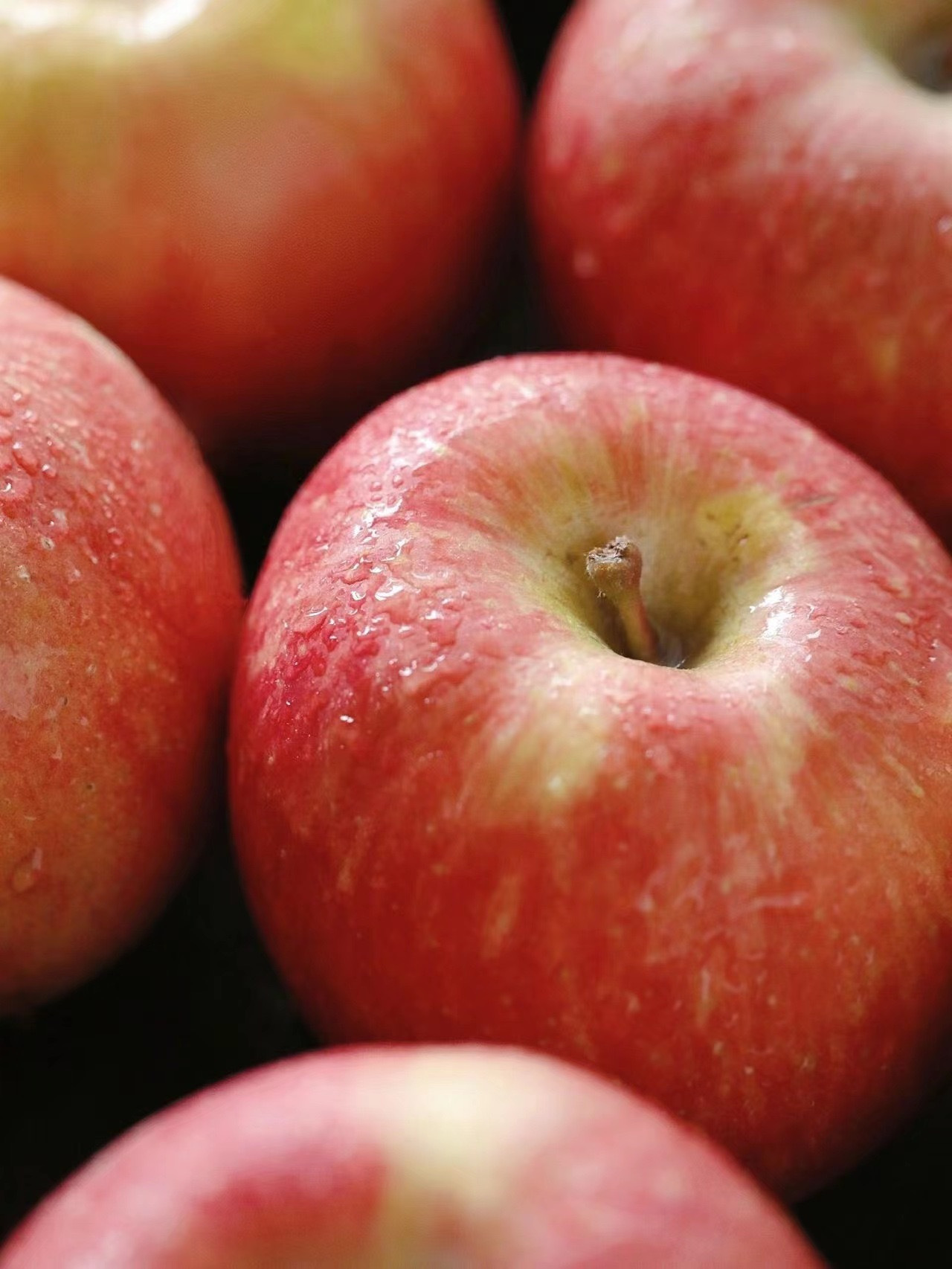 /uploads/image/2025/11/18/f251b62ef885b23123d59160ac6fb1d0.jpg 10.jpg