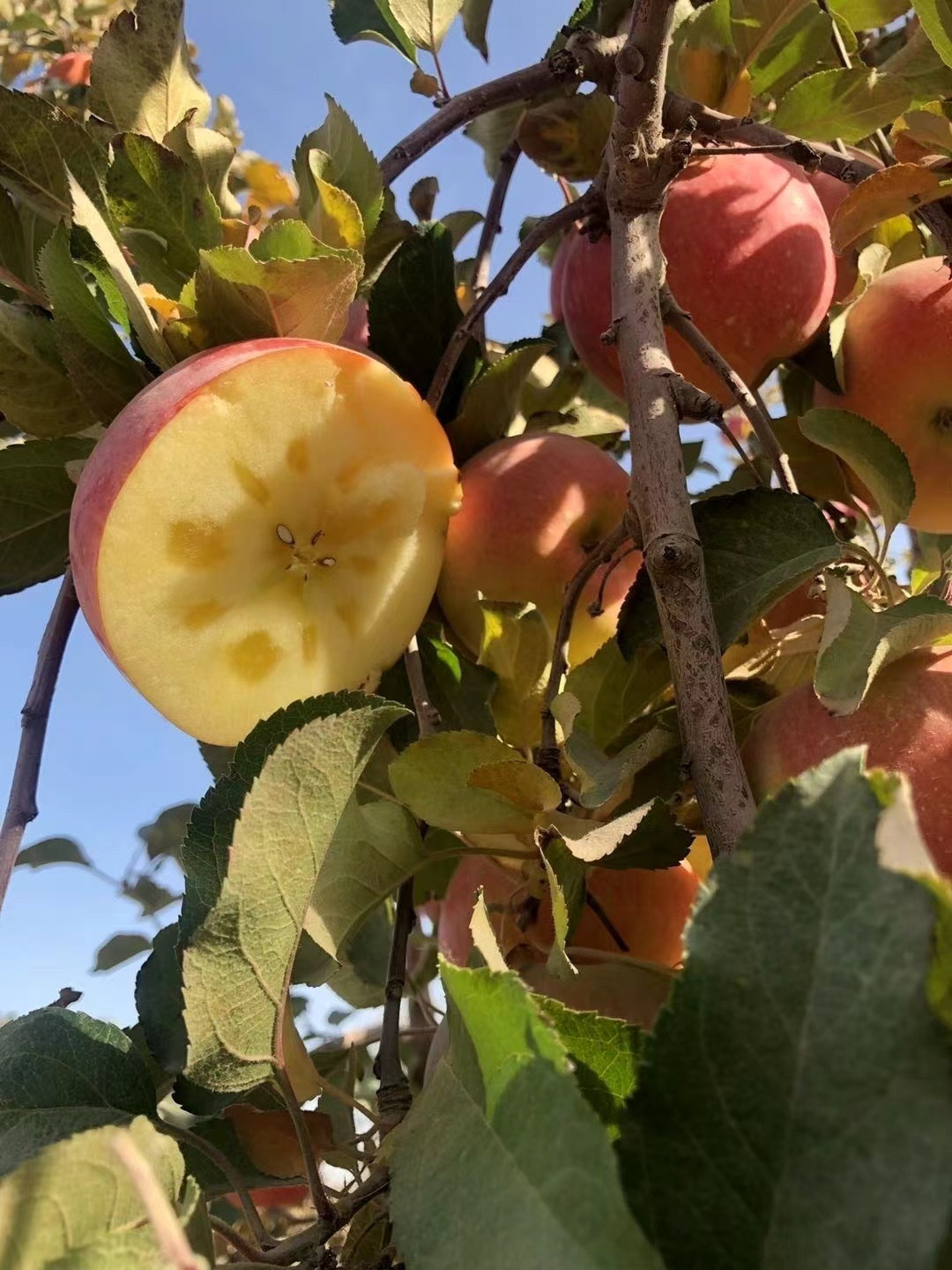 /uploads/image/2025/11/18/62a661f4b9597e4f3c00339d96b29683.jpg 14.jpg