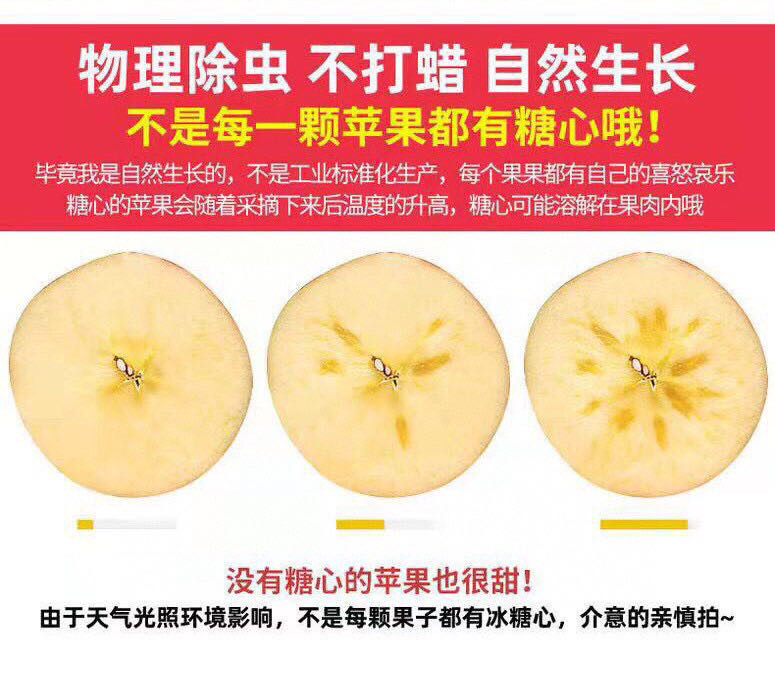 /uploads/image/2025/11/18/191d40ddf918b767297743e5a2a22625.jpg 微信图片_20251118181839.jpg