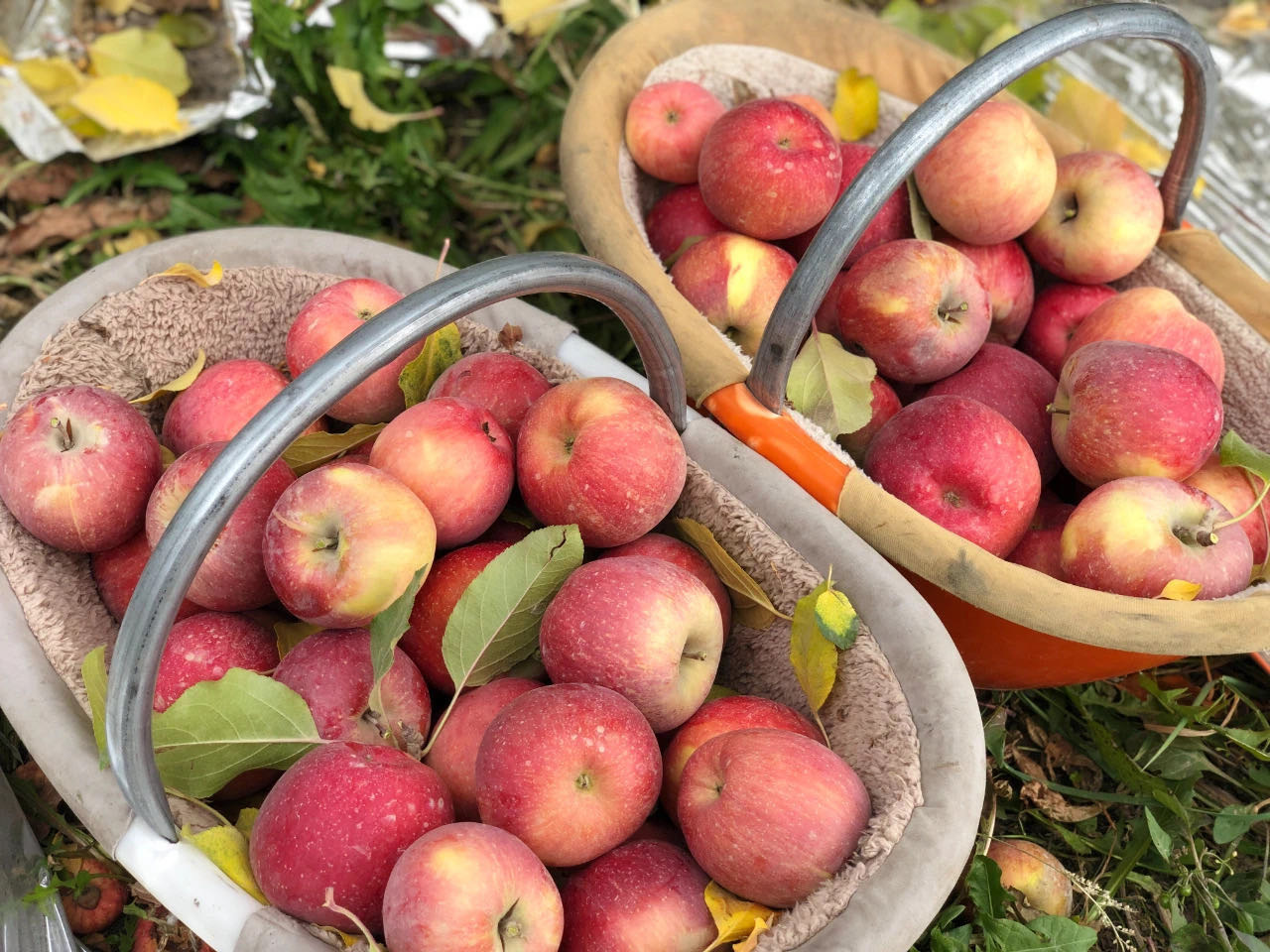 /uploads/image/2025/11/18/fa878b82b02a237db7704f2a196643c3.jpg 21.jpg