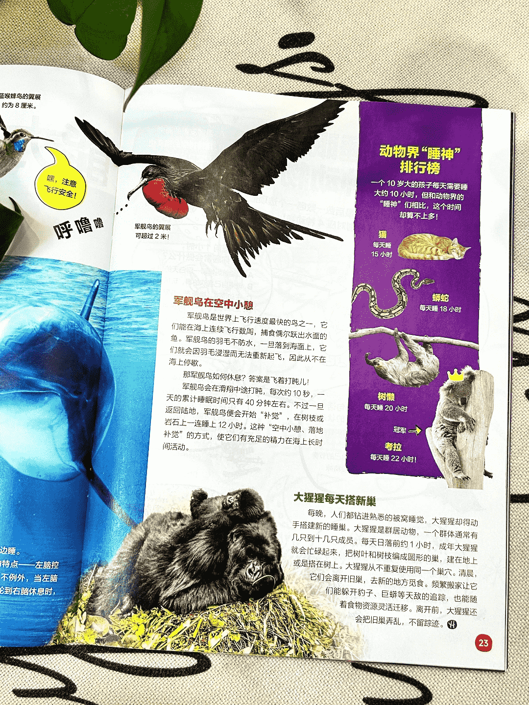 /uploads/image/2026/05/08/f5b6ef79330871cc34678703b8379e2e.png d1adedd047adf22cb4023360bc279f89.png