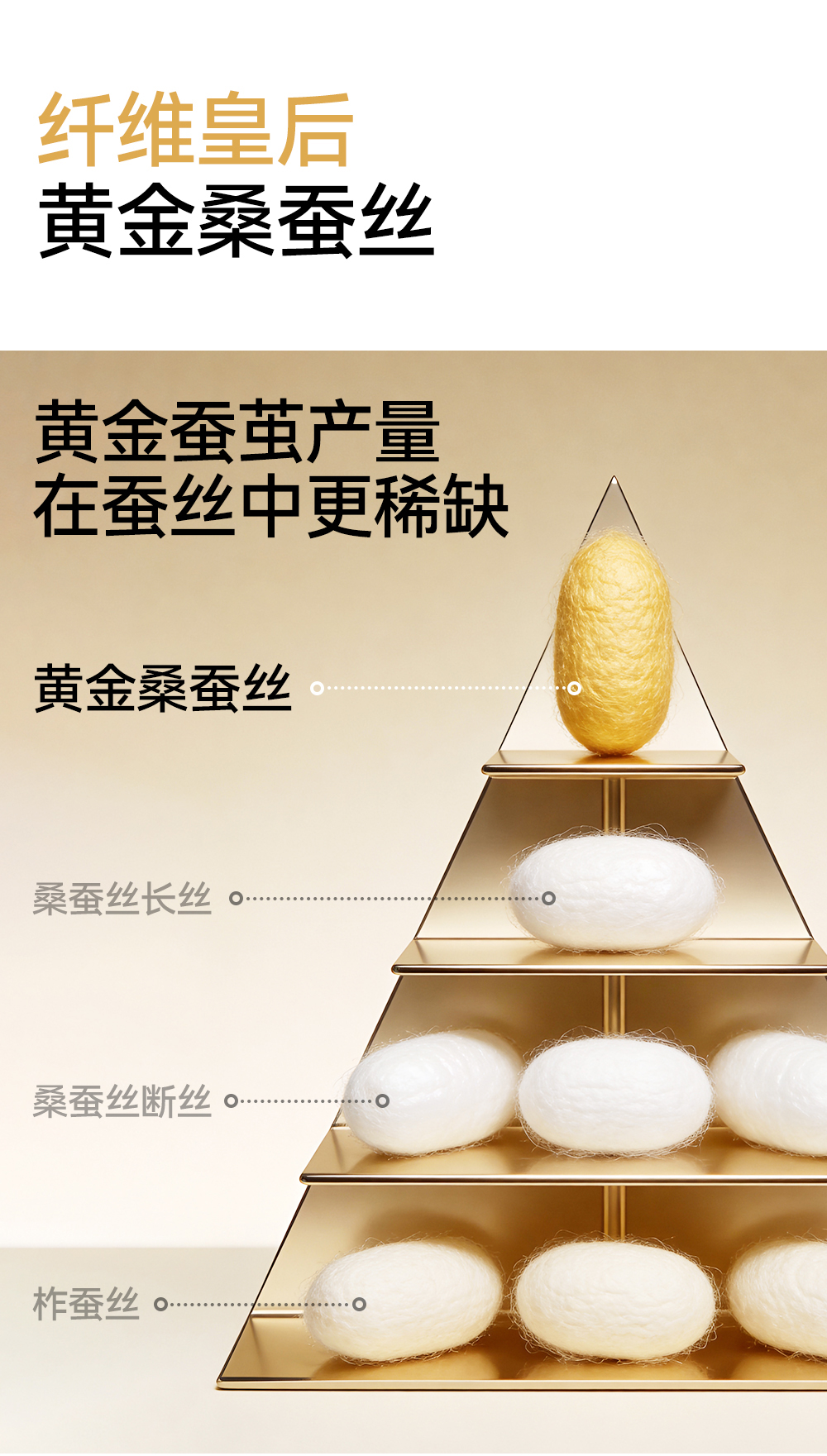 未标题-1_07.jpg