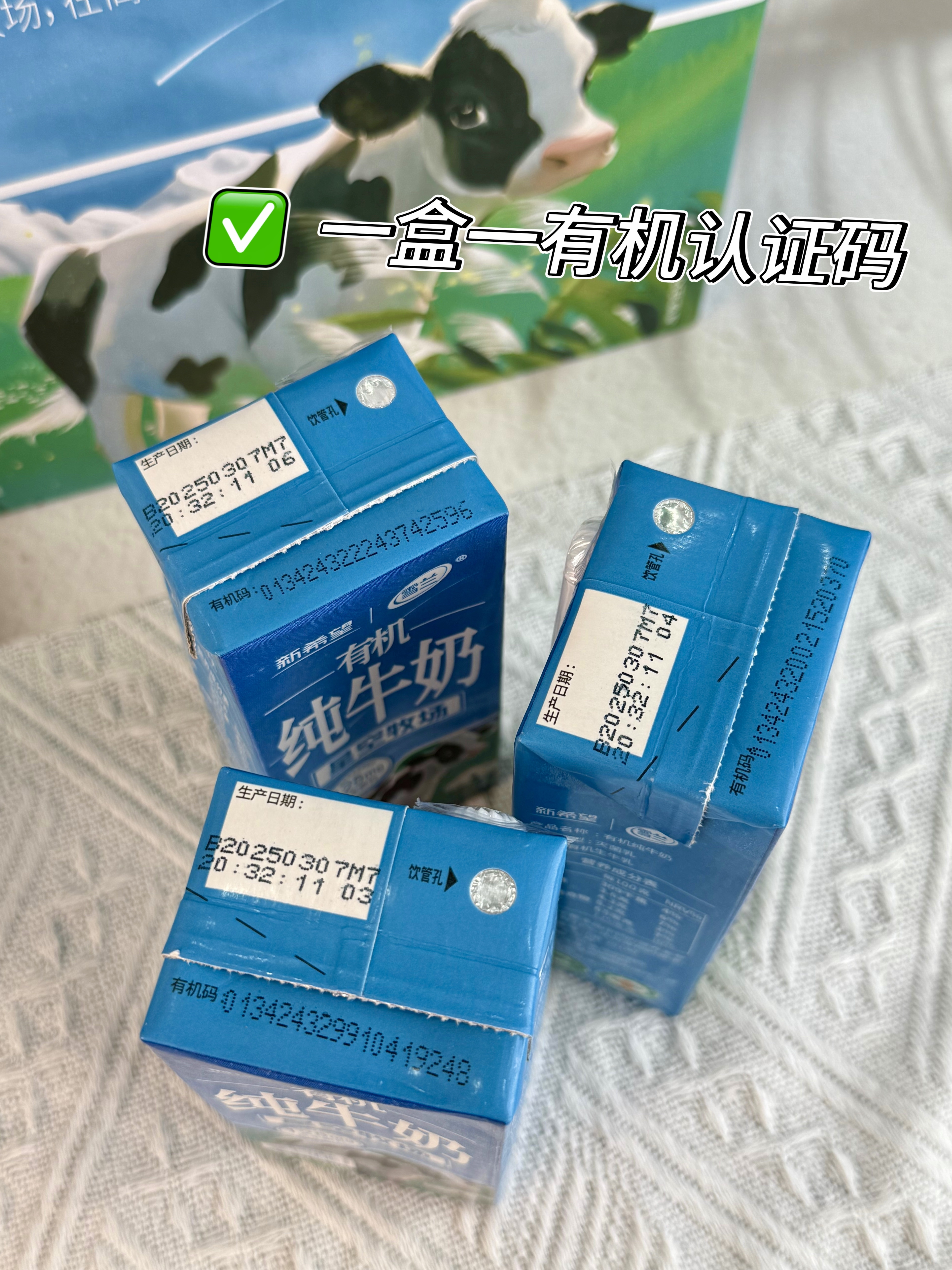86cb5e8aa8d9653ee5b566277471c90a.jpg