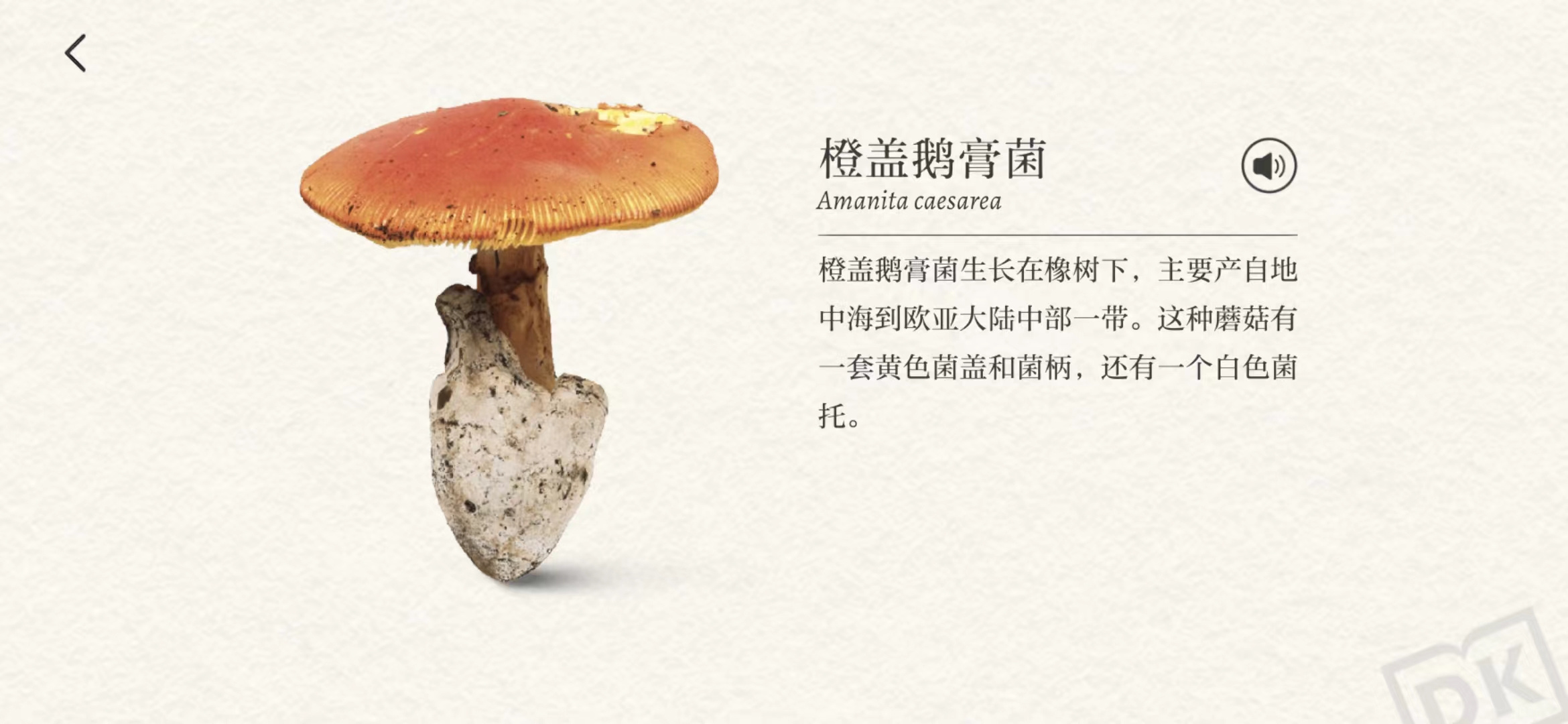 /uploads/image/2026/07/31/d1a110dce0a85d96c0dde2ec71d8c059.jpg 5fda446f4226bedf69752d8e04d655ef.jpg